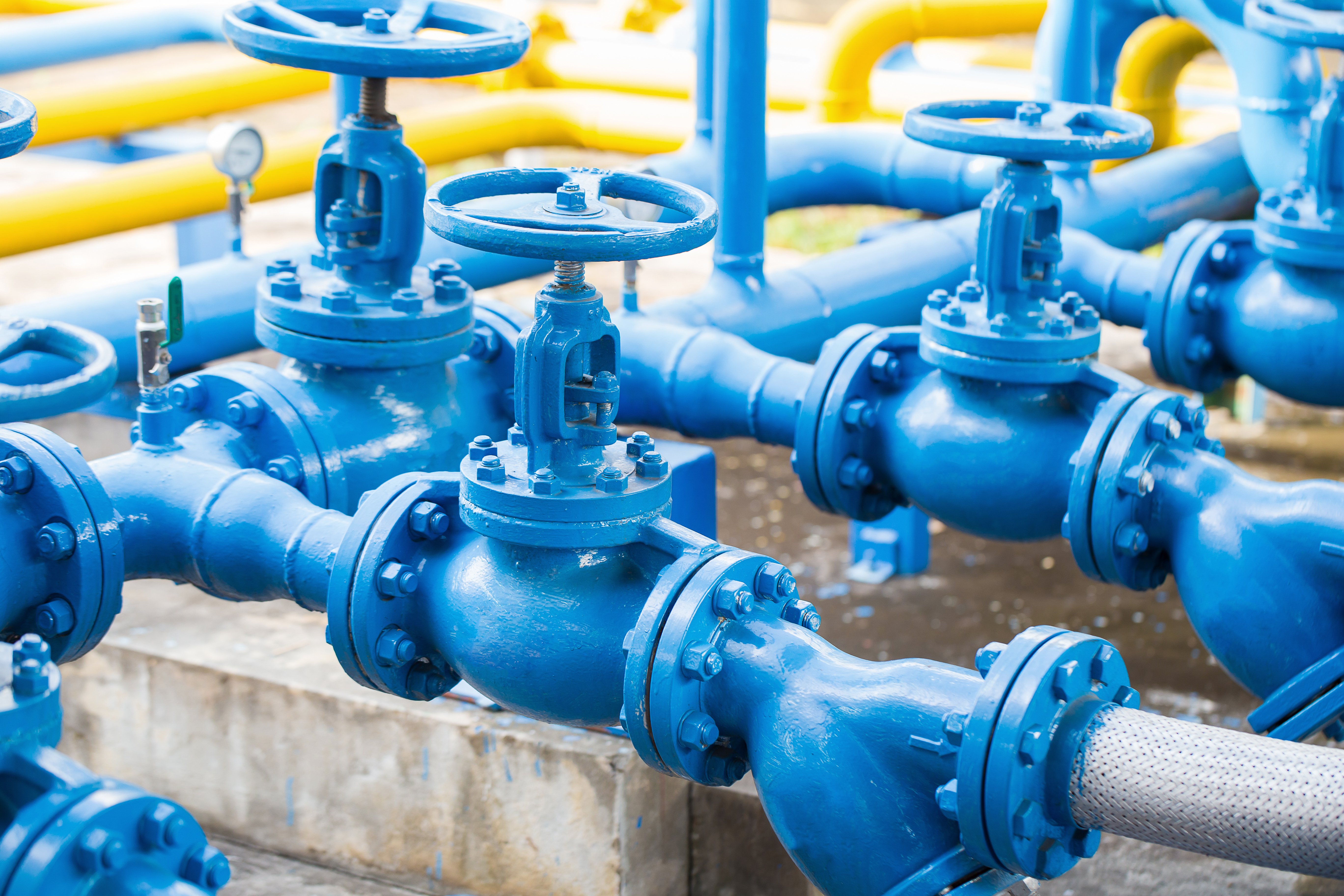 Safety Valve European Market Analysis Case Study